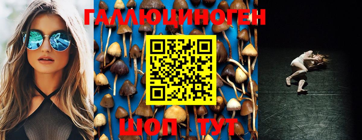 Черняховск  купить закладку  Вход с VPN  Псилоцибиновые грибы GOLDEN TEACHER  Псилоцибиновые грибы Magic Shrooms 