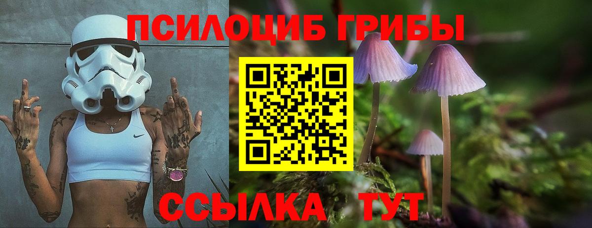 Псилоцибиновые грибы прущие грибы Черняховск